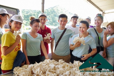 Du lịch nông nghiệp: hướng đi mới cho du lịch Mộc Châu