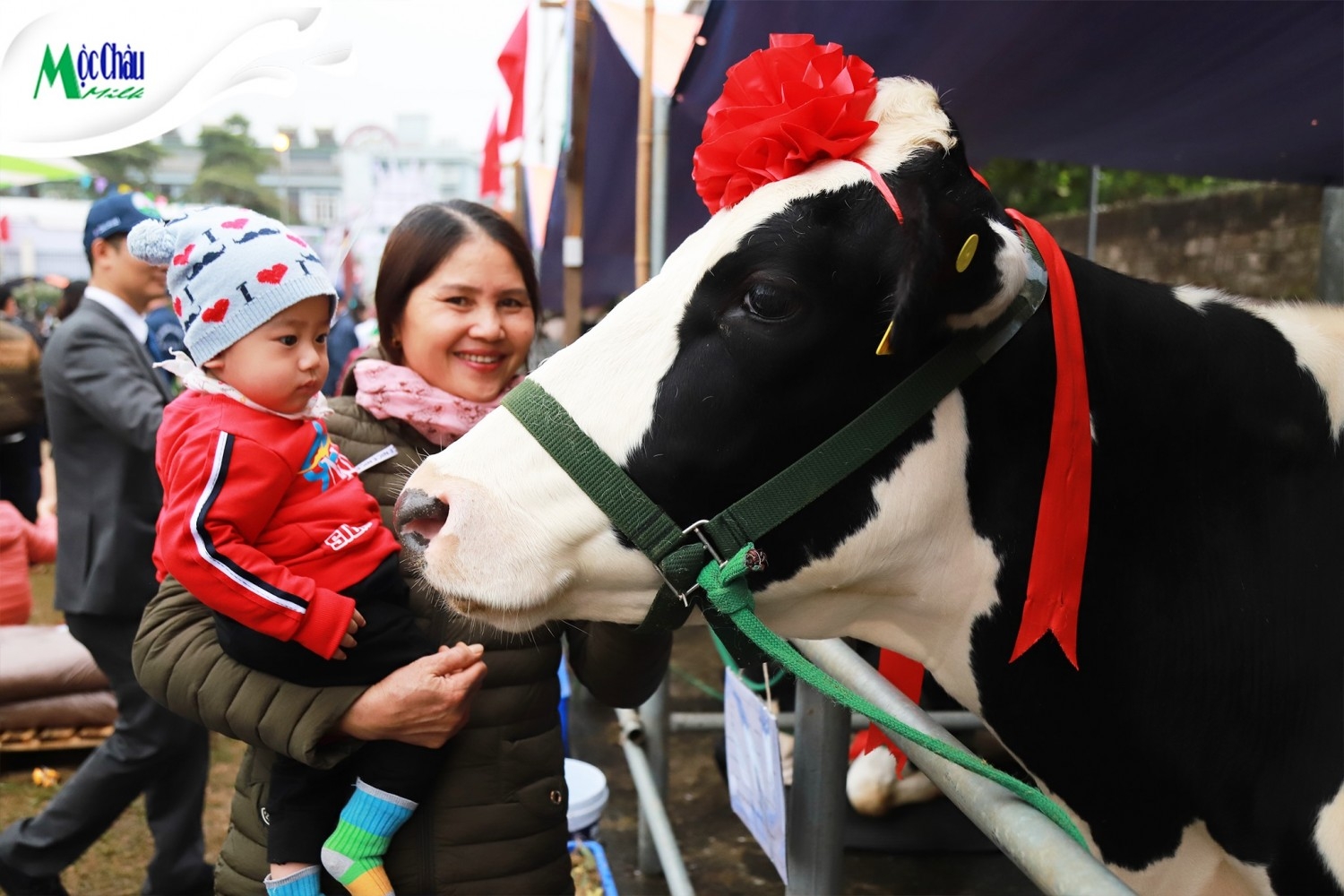 hoa hậu bò sữa 2019 (6)