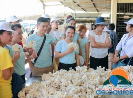 Khách du lịch háo hức trải nghiệm du lịch nông nghiệp Mộc Châu